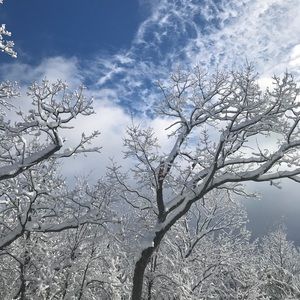 Meet your Posher, Vanisa